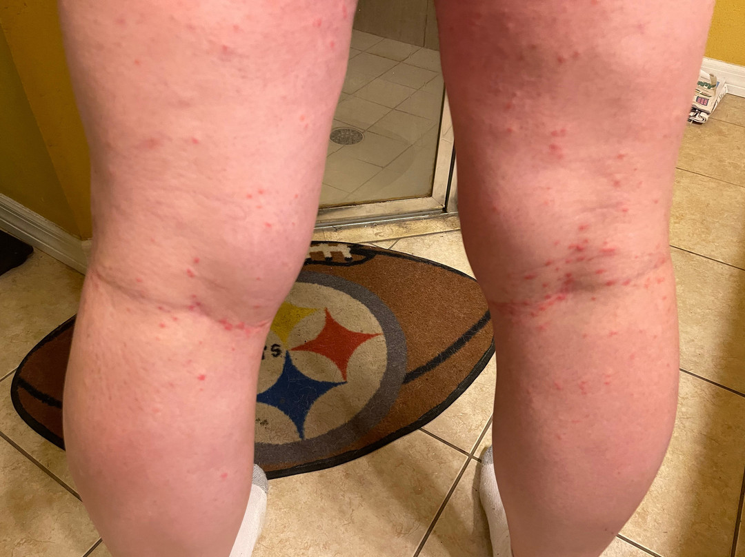 Days Inn by Wyndham Jellico - Tennessee State Line主图