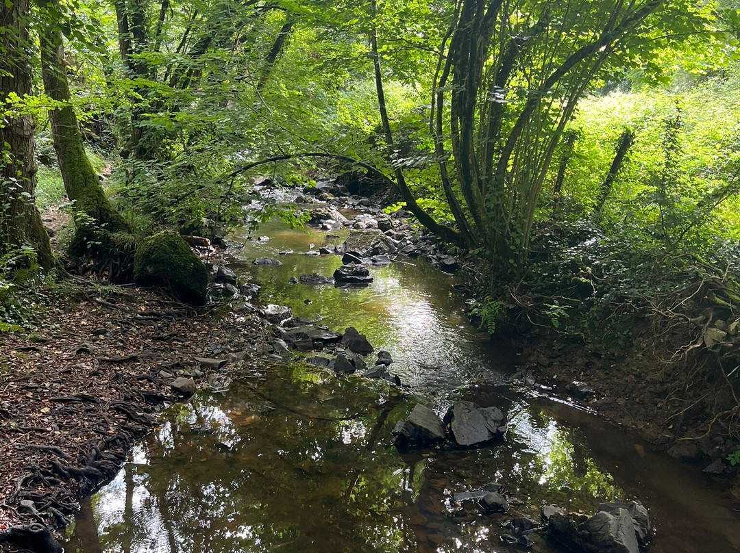 Le Puits d'Enfer景点图片