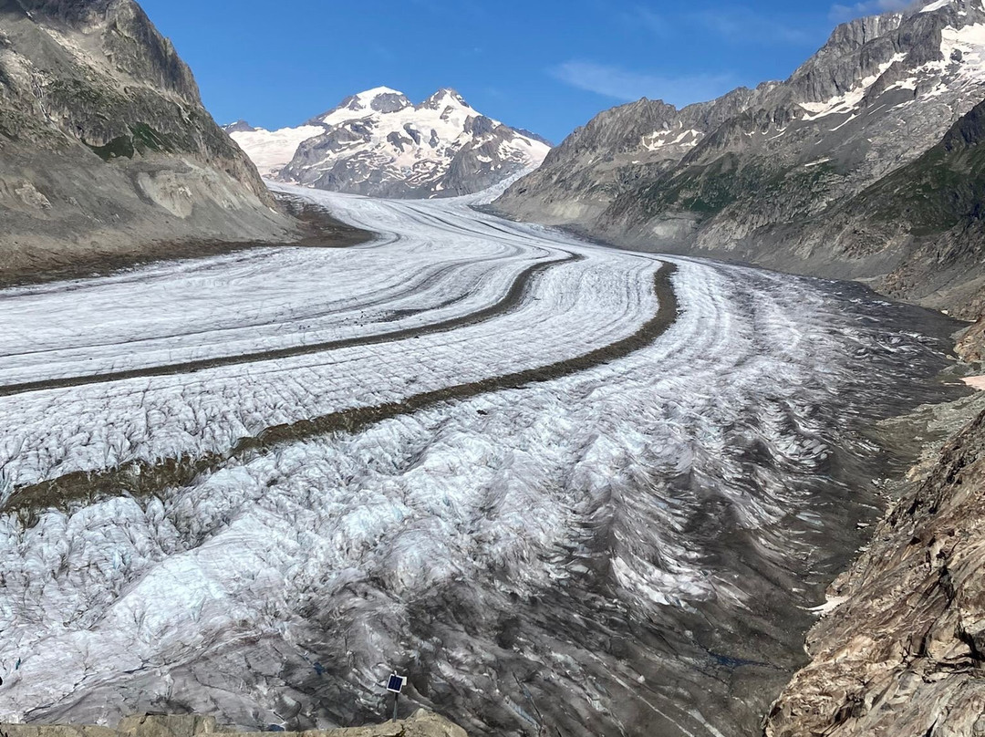 Hotel Bettmerhof主图