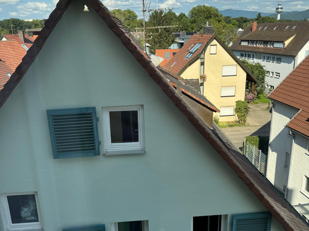 Hotel Hirschen Freiburg主图
