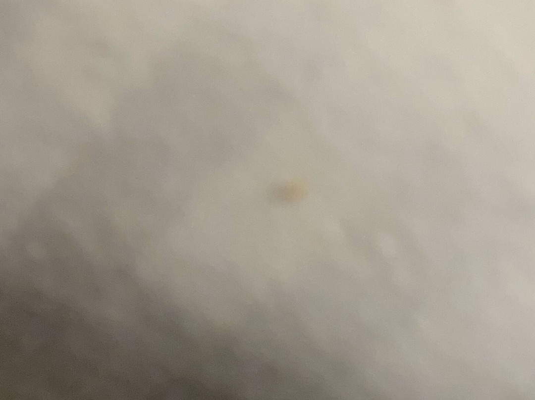 La Quinta Inn & Suites by Wyndham Opelika Auburn主图