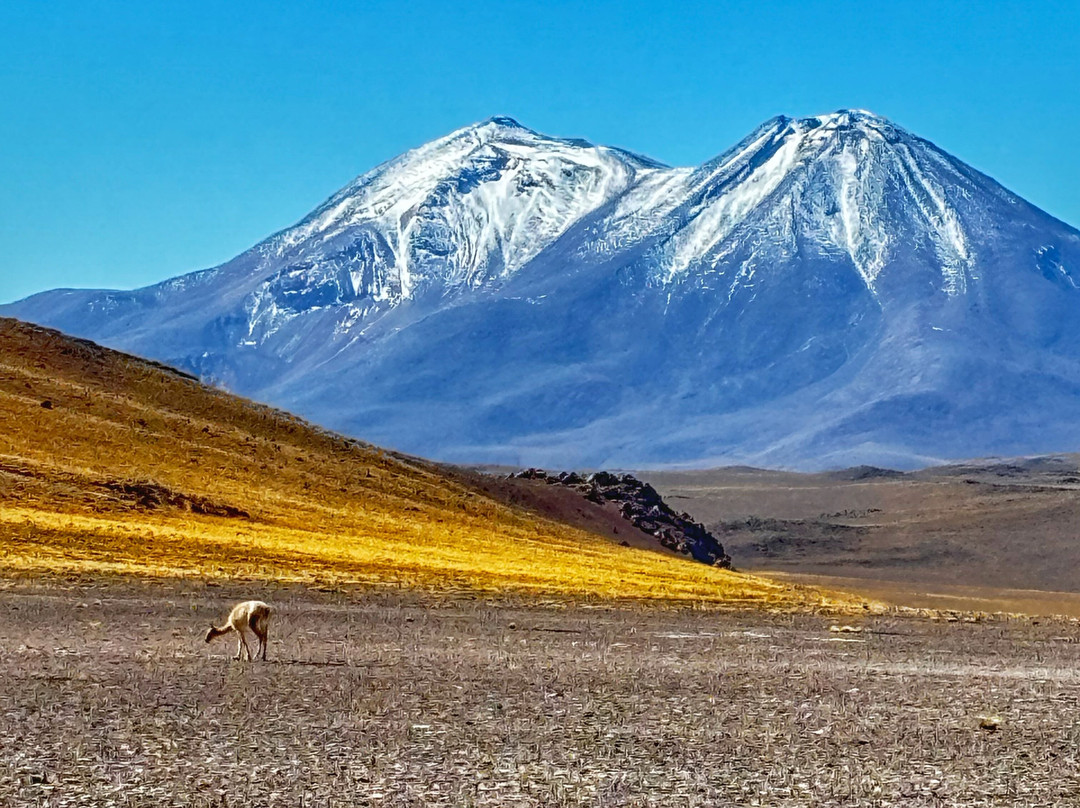 Sorbac-圣佩德罗-德阿塔卡马必去景点