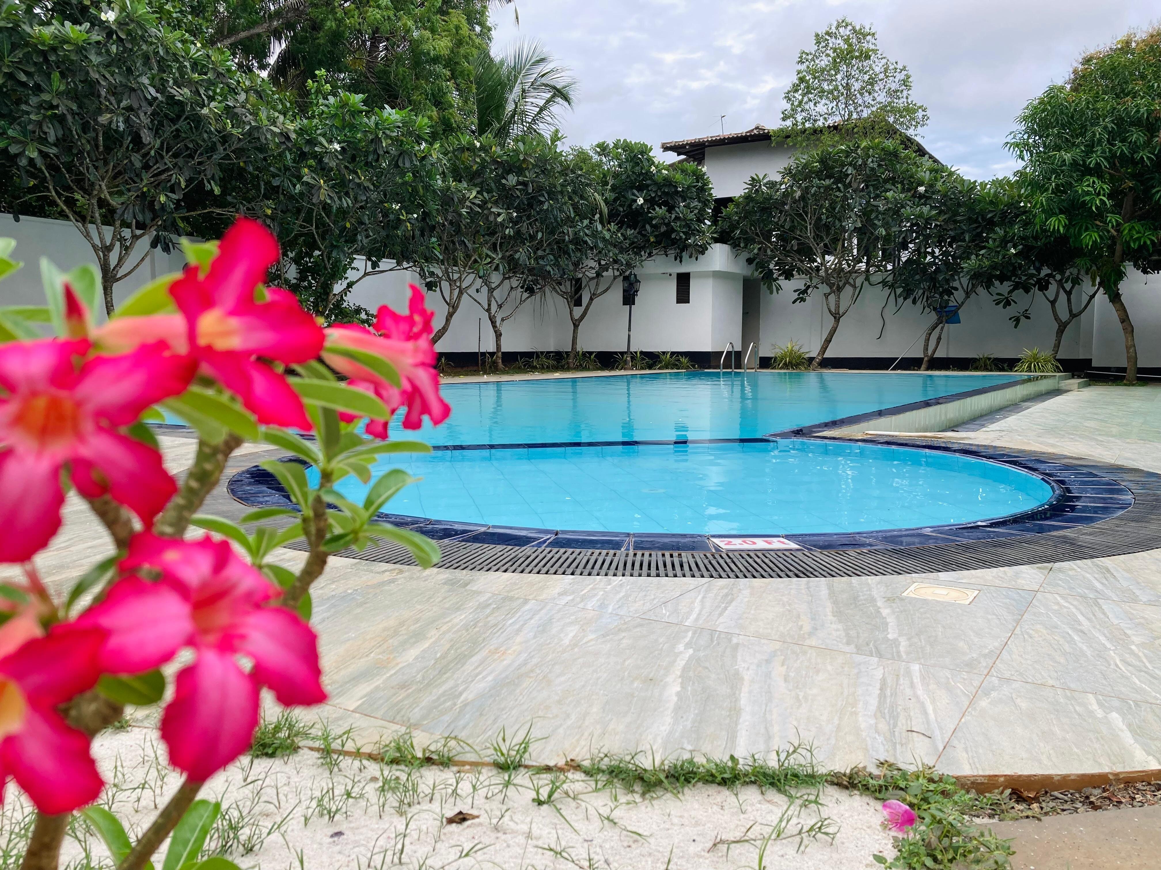 Hotel Elephant Eye-泳池