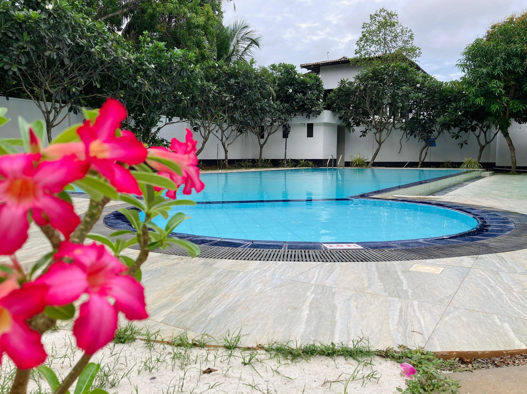 Hotel Elephant Eye主图