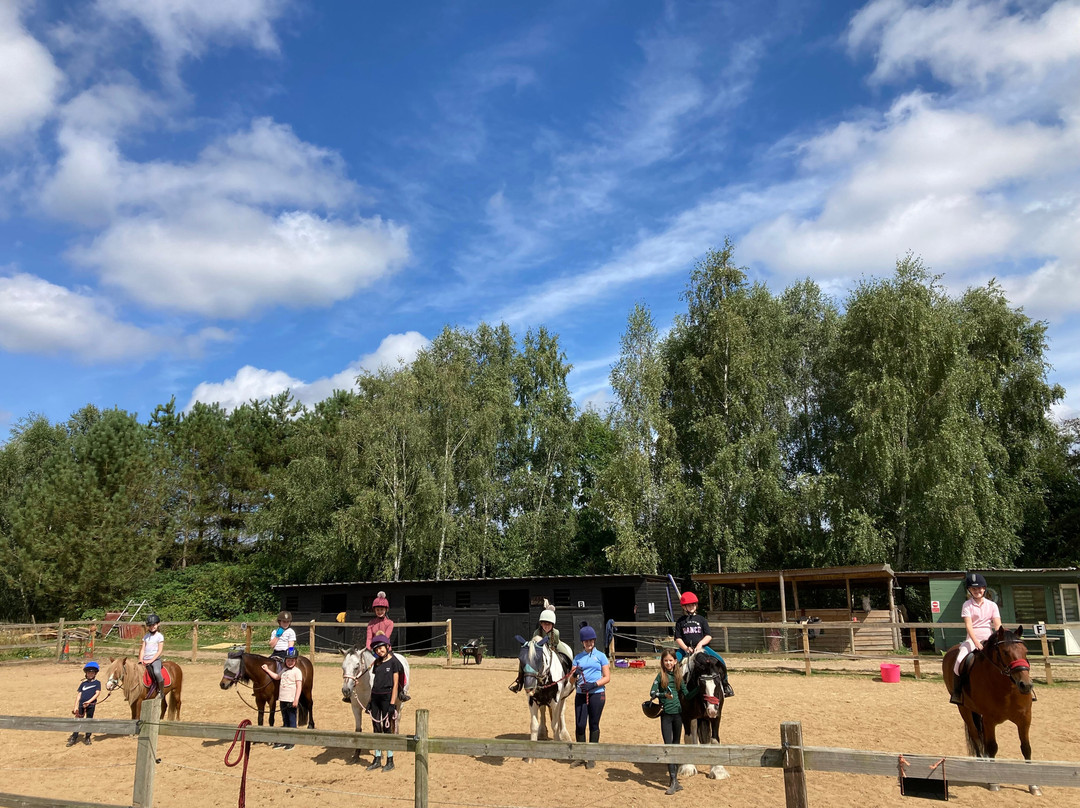 Pony Trekking Thetford Forest-Brandon必去景点