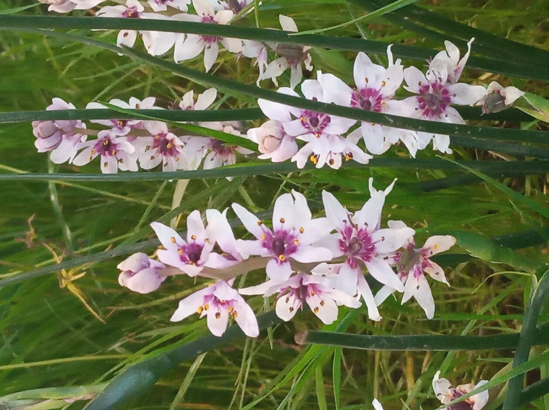 Capey Tours-开普敦中心区必去景点