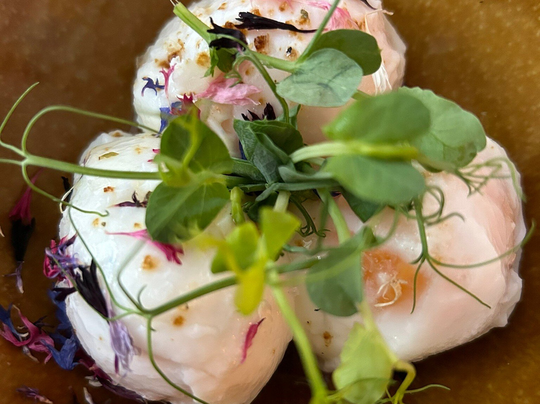 Der Steinerwirt - hangout & hotel主图