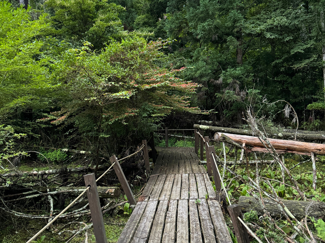 Koyasan Visitor Information Center-高野町必去景点