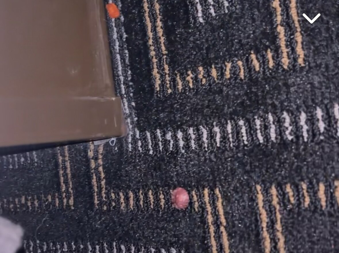 Country Inn & Suites by Radisson, Woodbury, MN主图