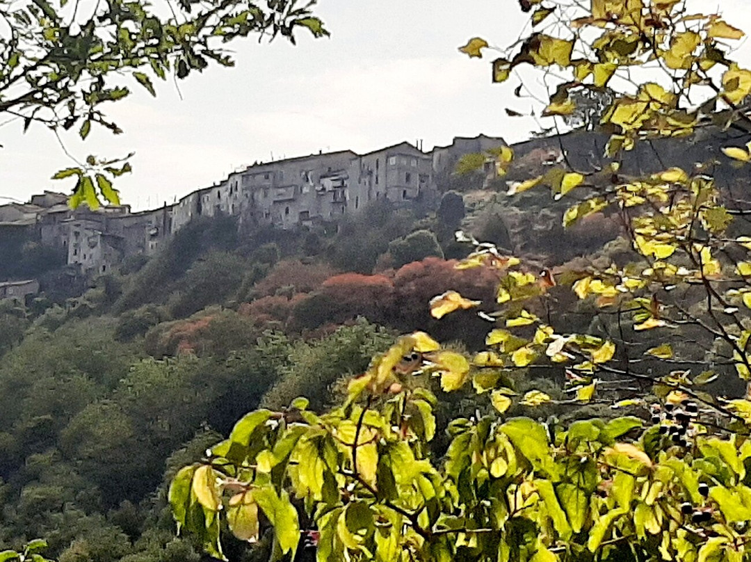Rovine del Monastero Sant'Onofrio-Petina必去景点