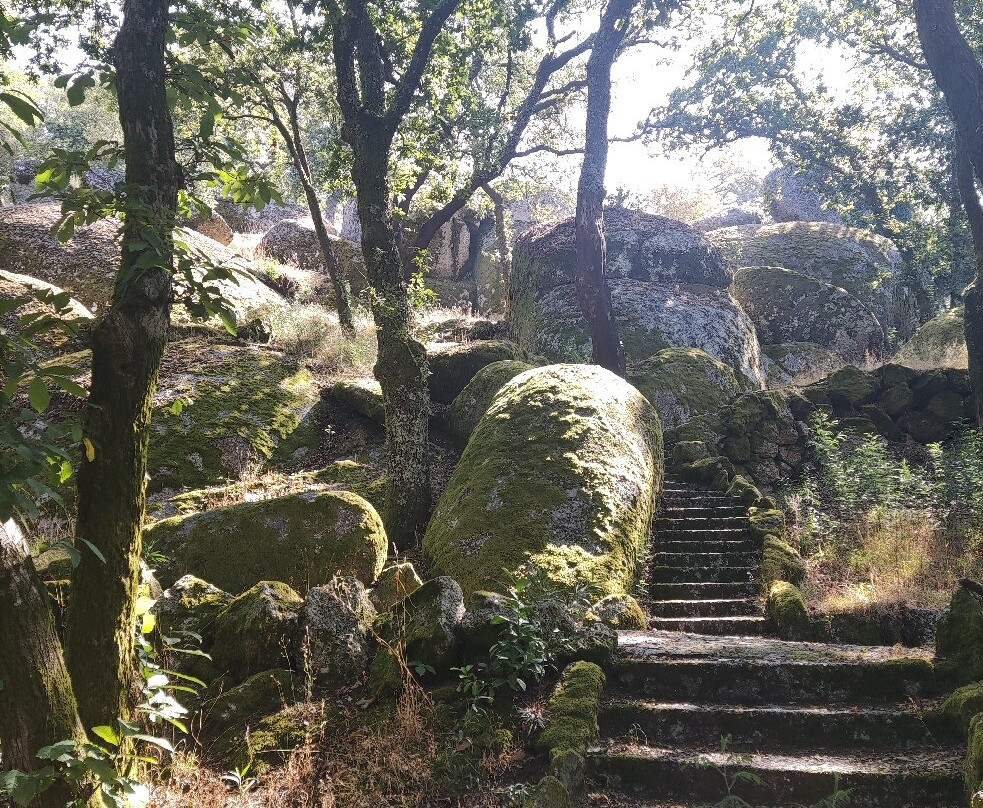 Montanha- Parque da Penha景点图片