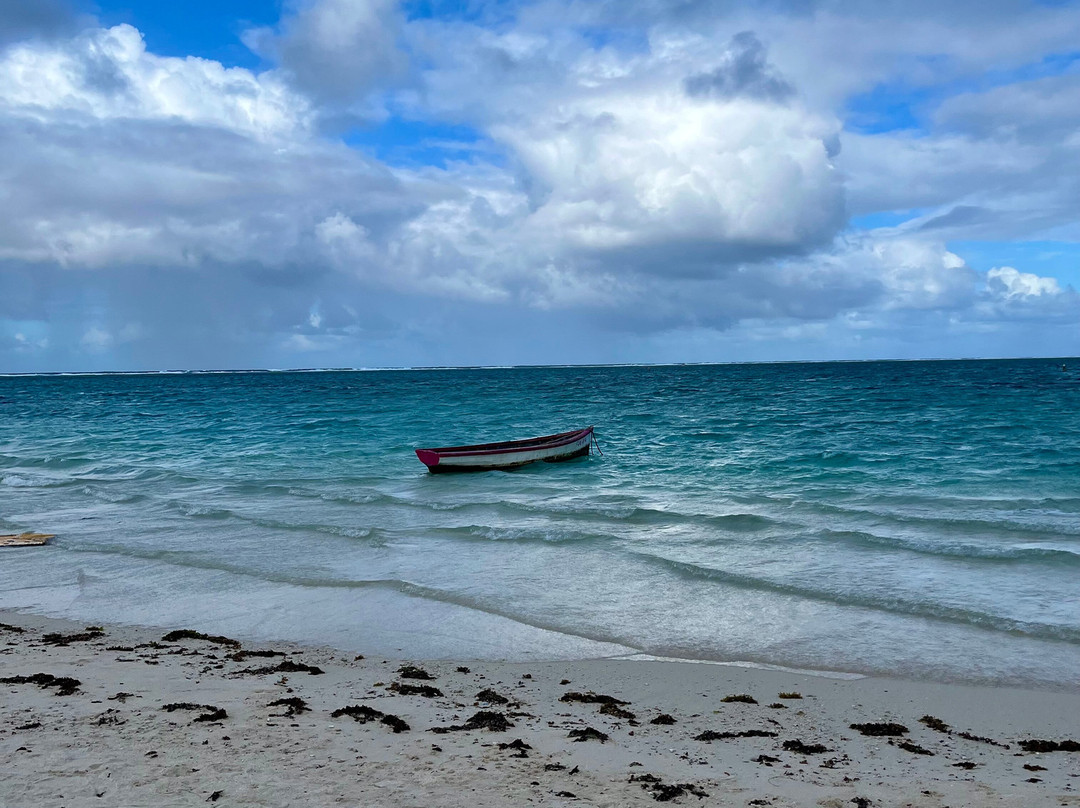 Taxi Mauritius Tours-大湾必去景点