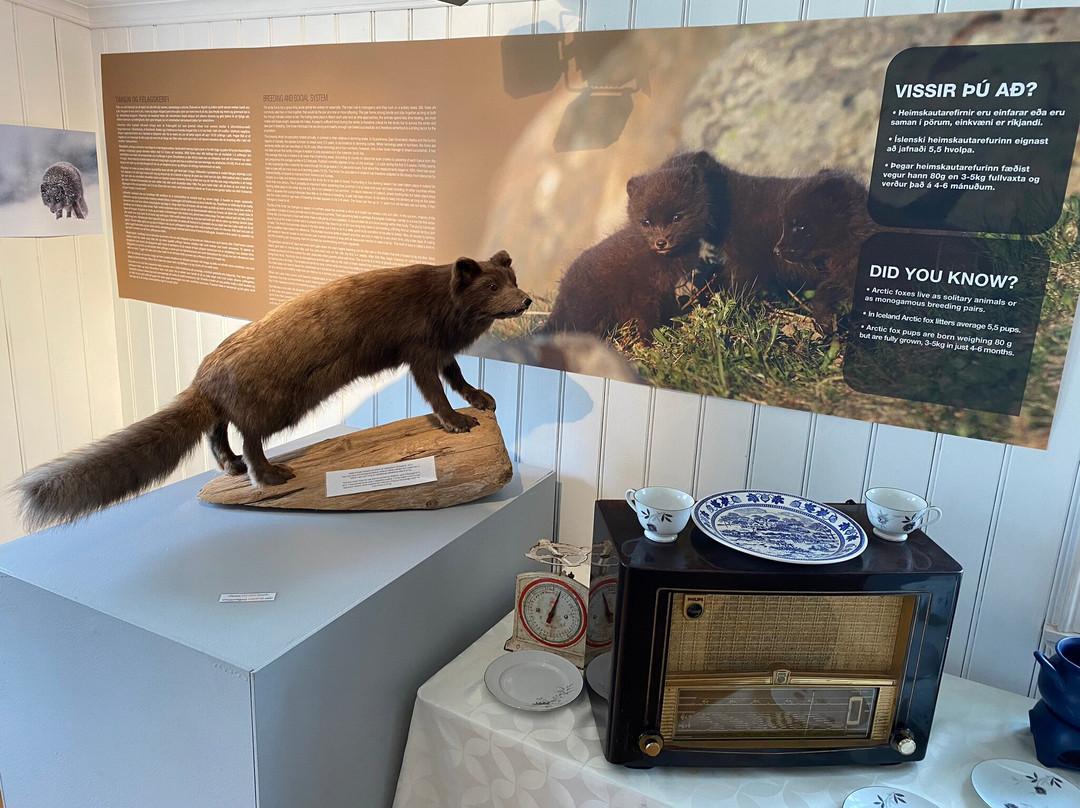 The Arctic Fox Centre-Sudavik必去景点