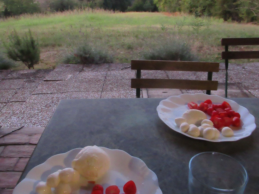 Agriturismo Montevecchio Isolani主图