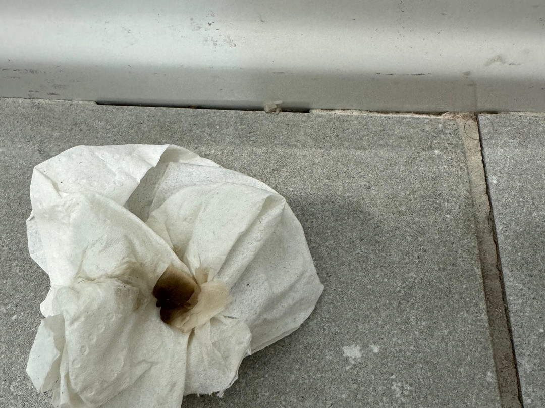 La Quinta Inn & Suites by Wyndham Schertz主图