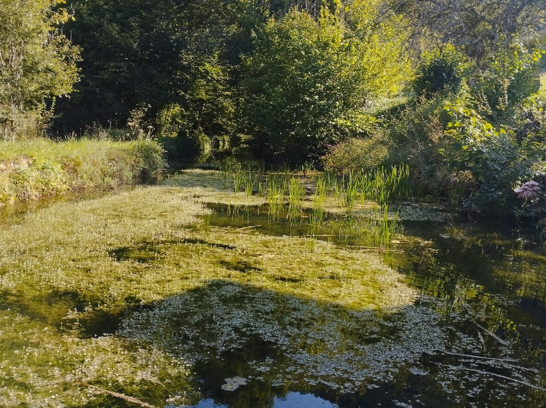 Musée de la Taillanderie-Nans-sous-Sainte-Anne必去景点