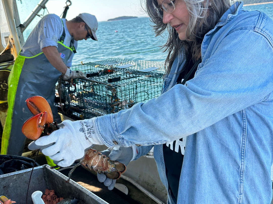 Swan's Island Charters-Swans Island必去景点