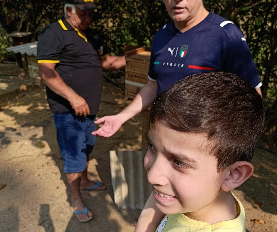 Apiário Flores da Serra-蒙特贝尔德必去景点