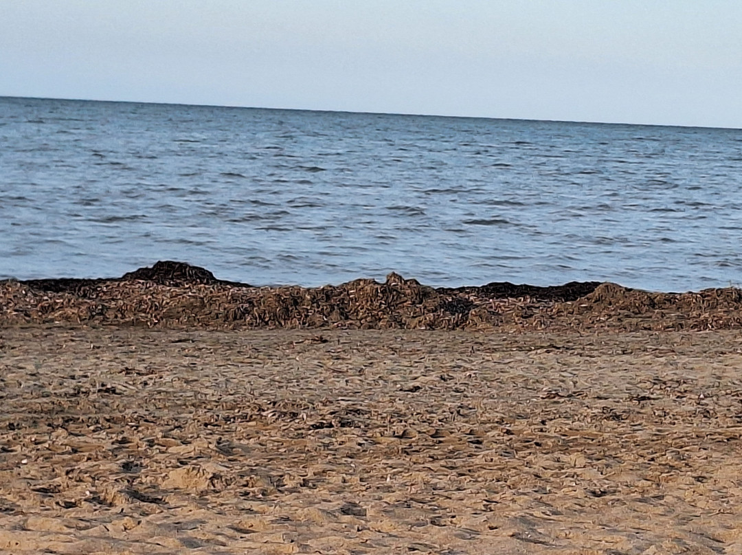 Platja Punta del Raset景点图片