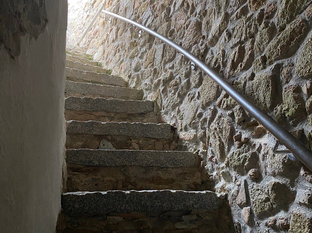 Torre di Longonsardo-圣特雷莎加卢拉必去景点