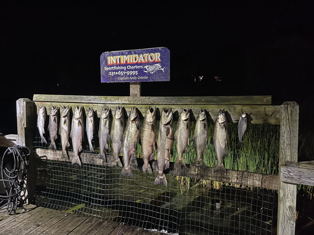 Intimidator Sport Fishing Charters景点图片