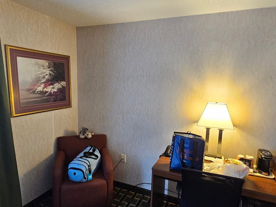 拉顿品质酒店主图