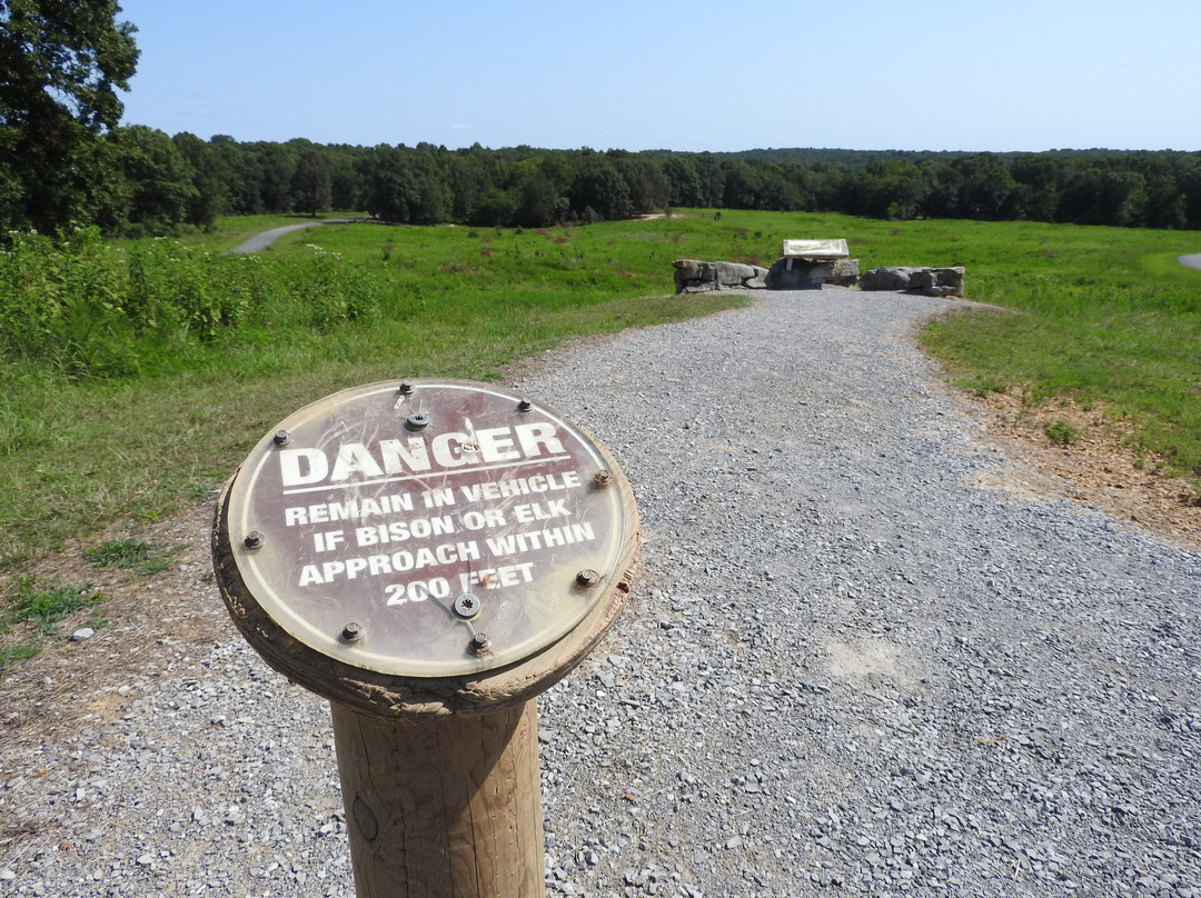 The Elk and Bison Prairie-Golden Pond必去景点