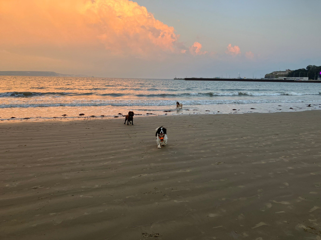 Driftwood Bed & Breakfast主图