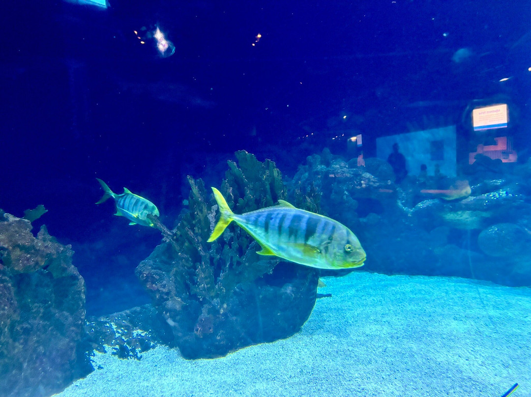 Minnesota Zoo-Apple Valley必去景点