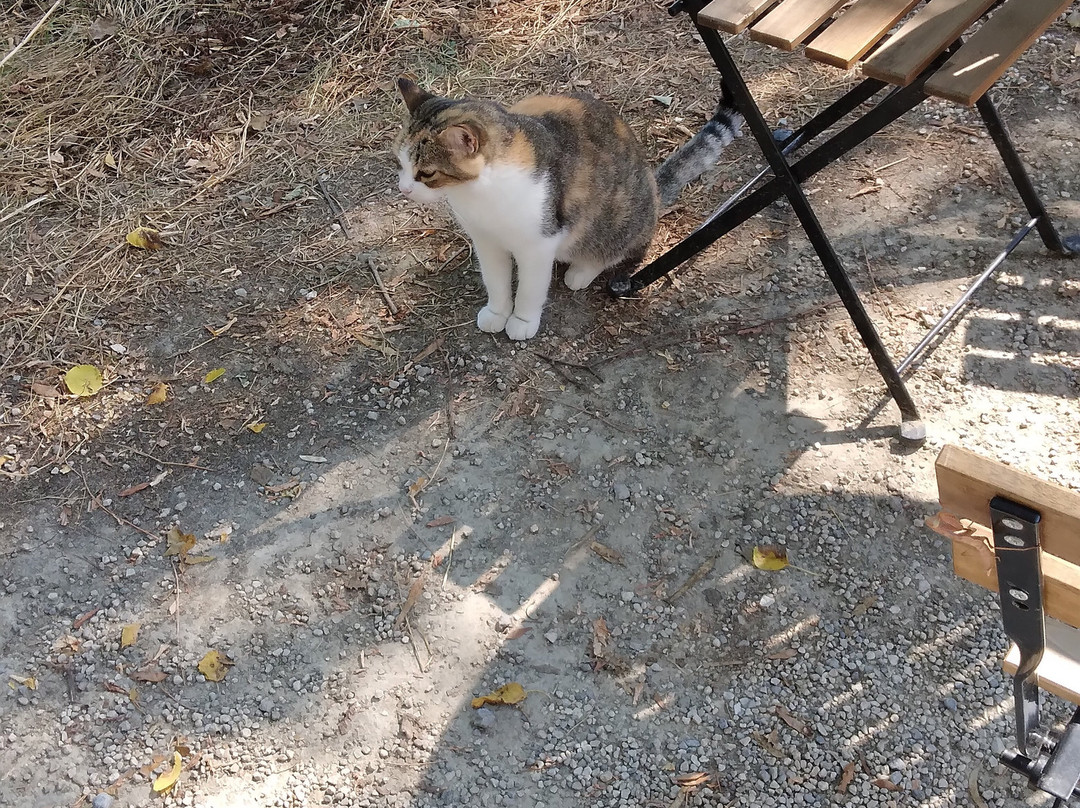 Theotoky Estate-科孚必去景点