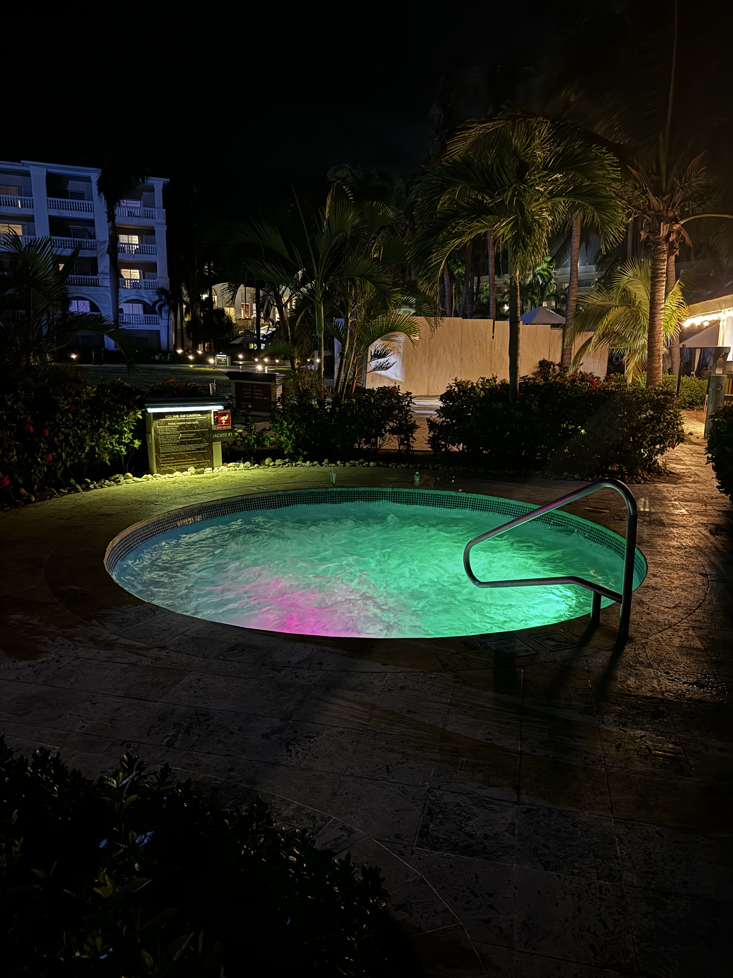 Hyatt Zilara Rose Hall-泳池