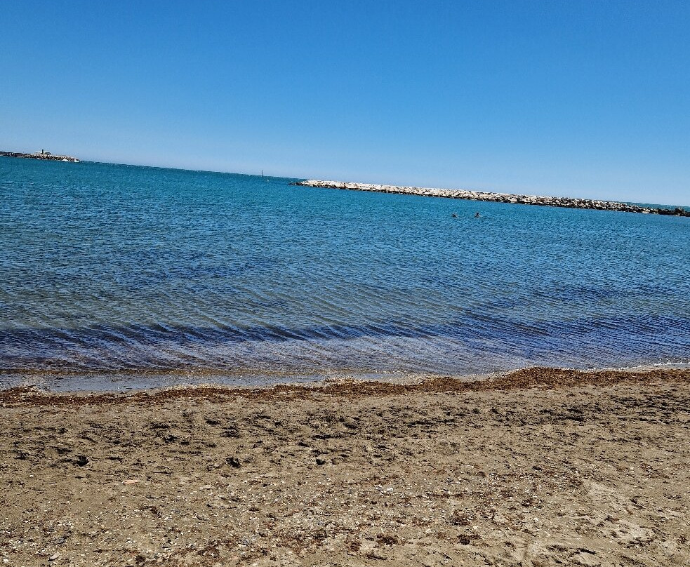 Playa Torrevigía景点图片