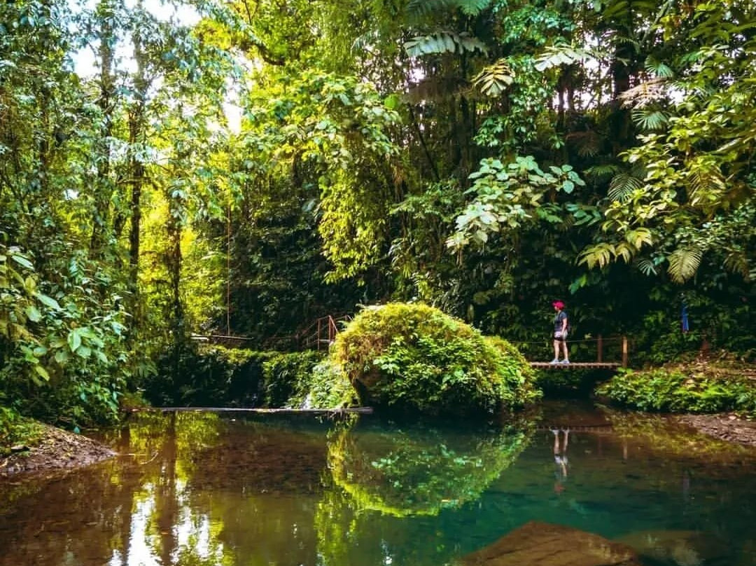Pozas Y Cascadas La Presa景点图片
