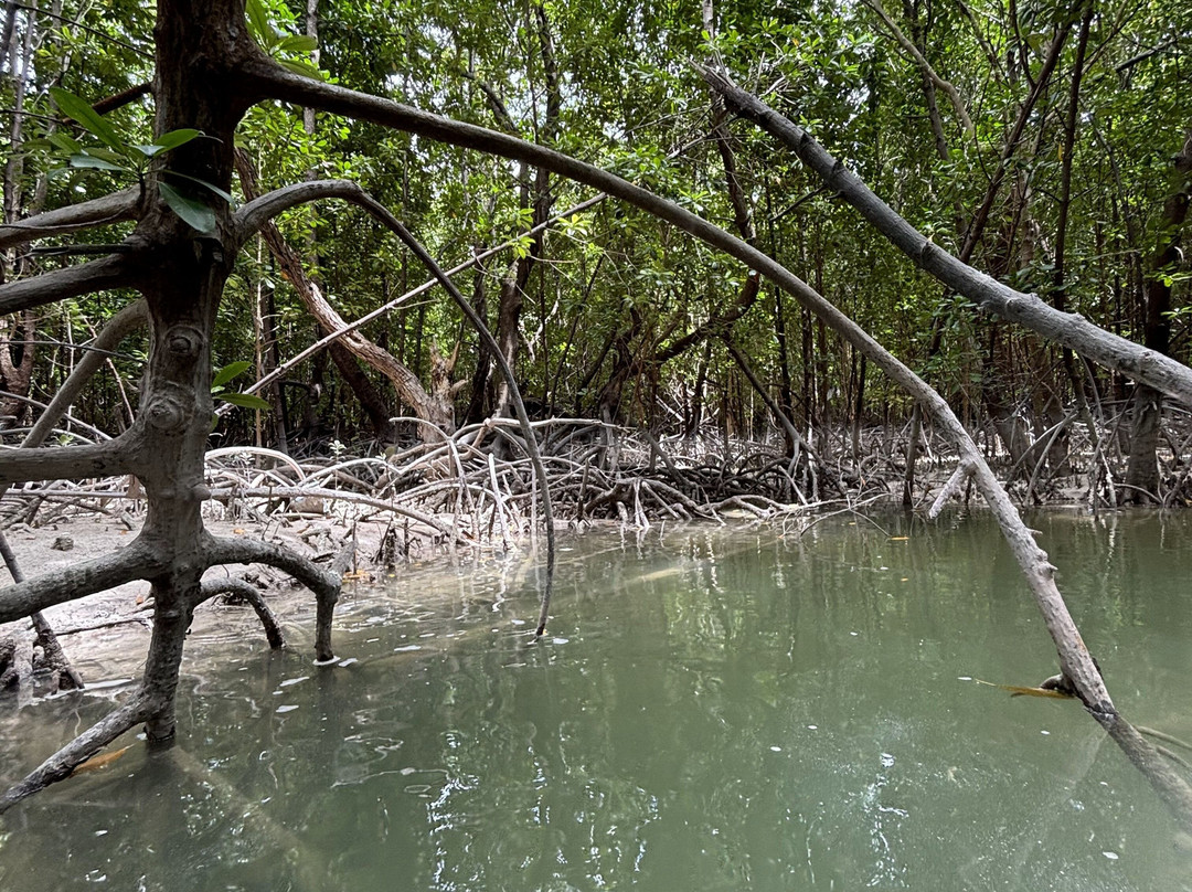 Kae Best Kayaks-米查维必去景点
