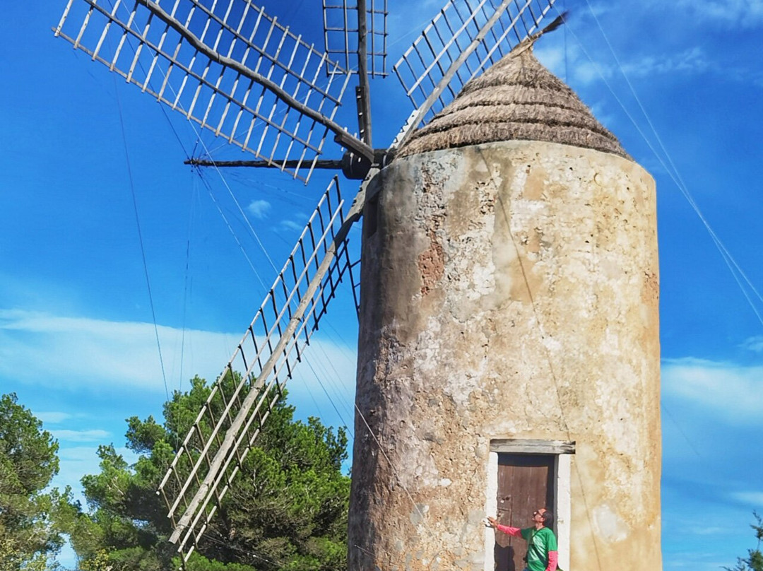 Molí Vell de la Mola景点图片