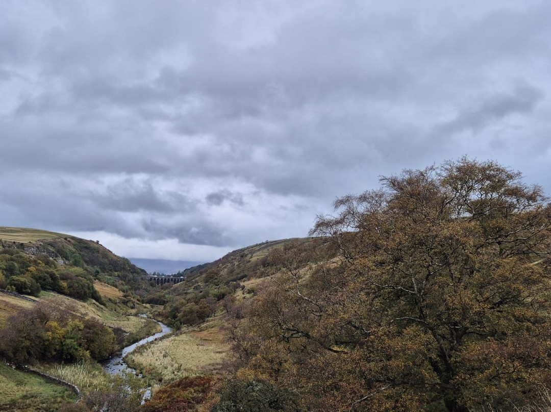 Smardale Gill Nature Reserve景点图片