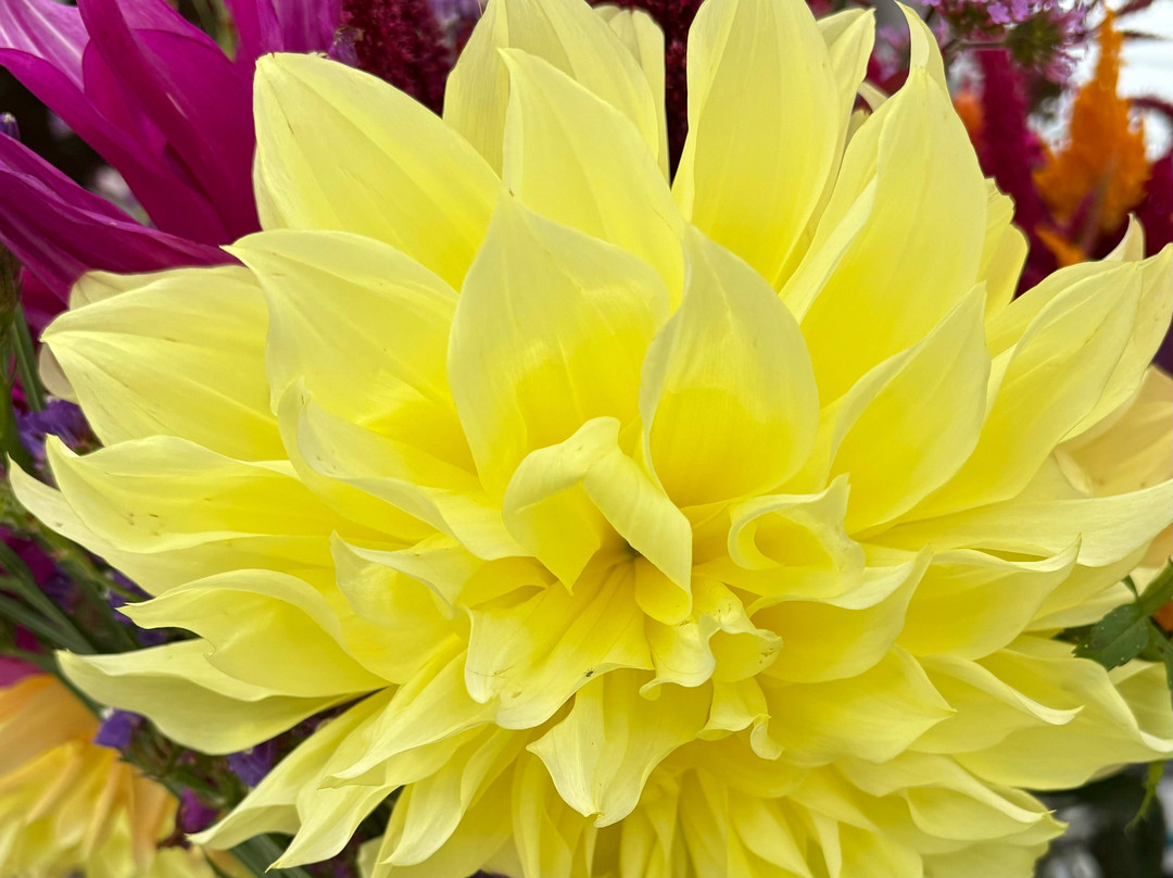Spa City Farmers' Market-萨拉托加温泉必去景点