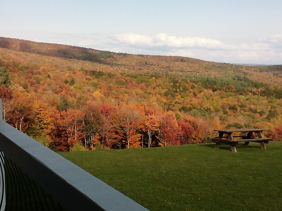 Blue Vista Motor Lodge主图