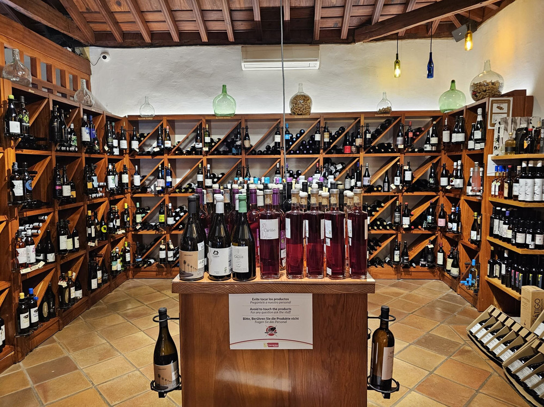 Casa Del Vino de Tenerife-El Sauzal必去景点