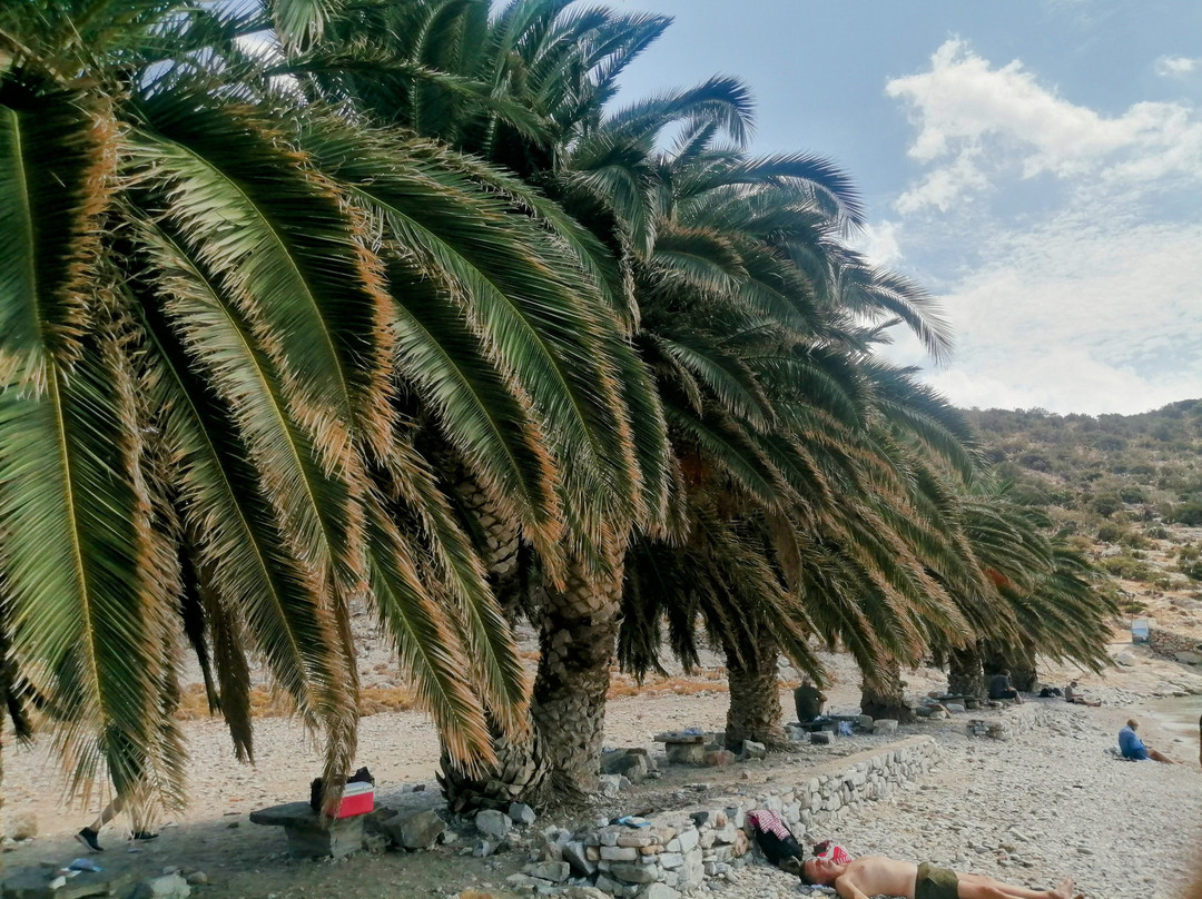 Paralia Panormos景点图片