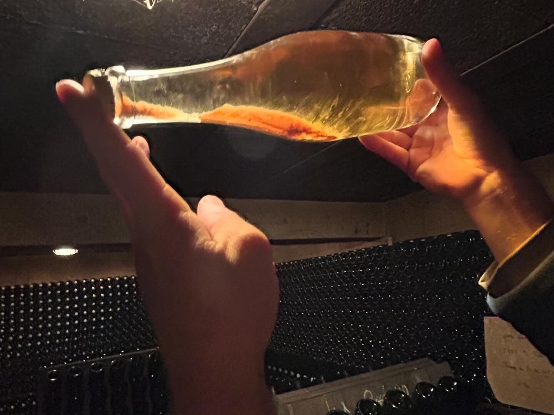 Champagne Redon景点图片