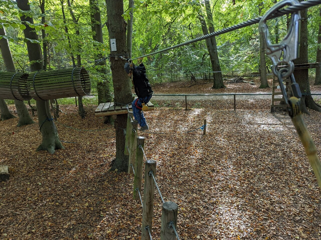 Kletterwald Kuhlungsborn景点图片