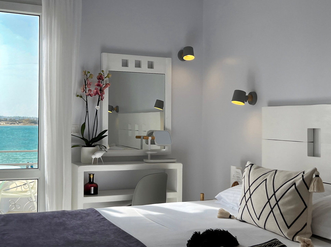 Glaros Petit Hotel主图