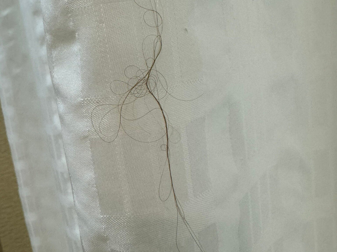 Homewood Suites By Hilton Springfield, VA主图