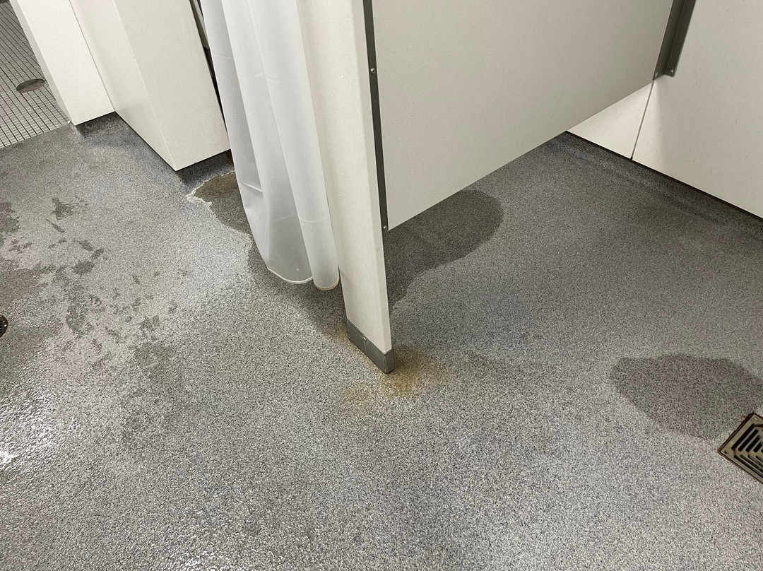 Hazen Pool-伦顿必去景点