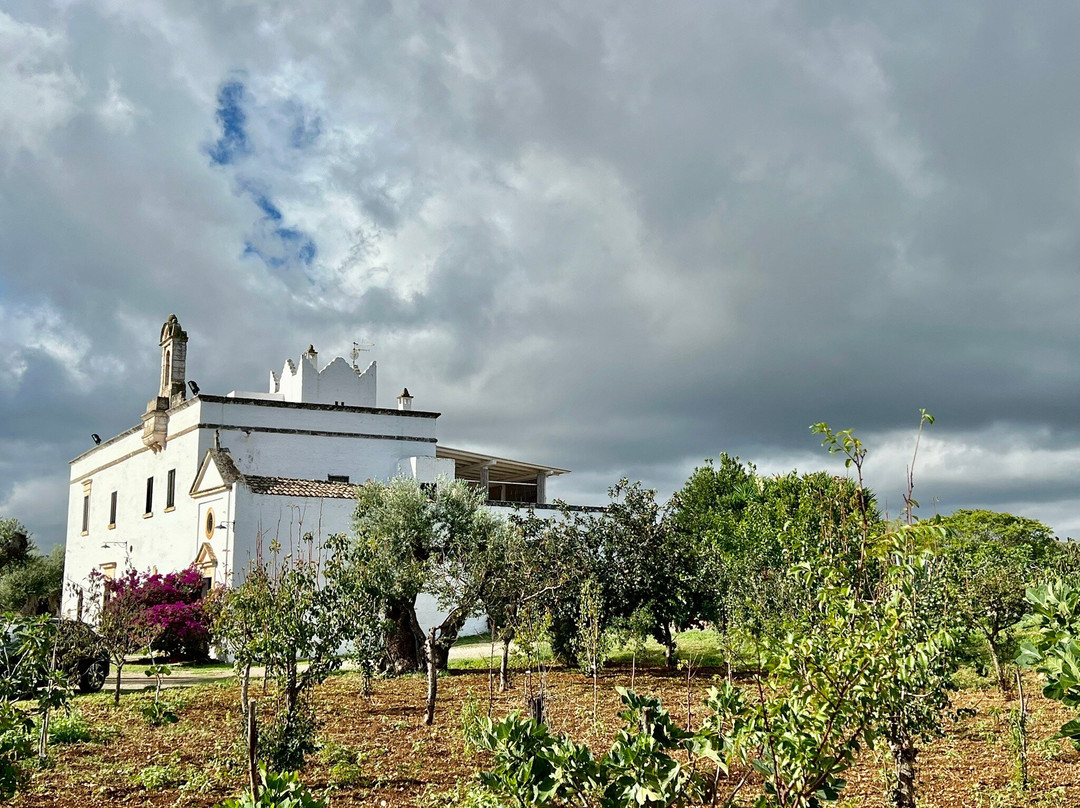 Masseria Palombara Grande主图