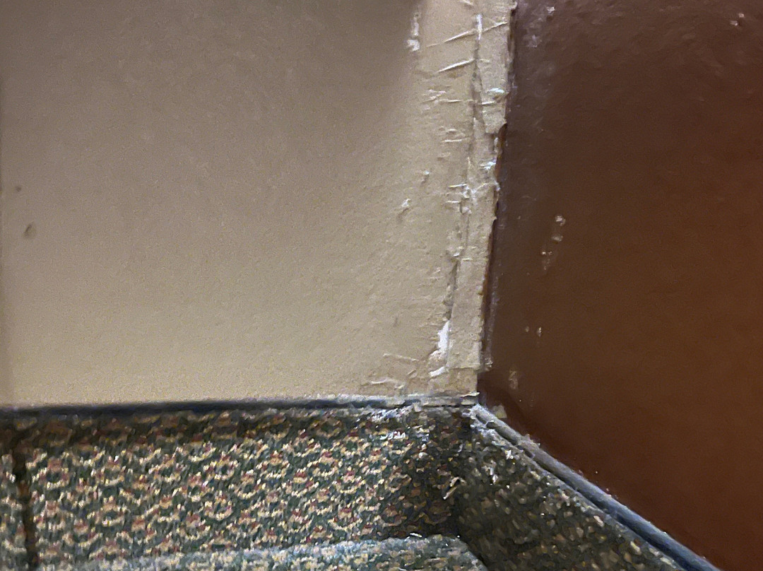 Microtel Inn & Suites By Wyndham Dover主图