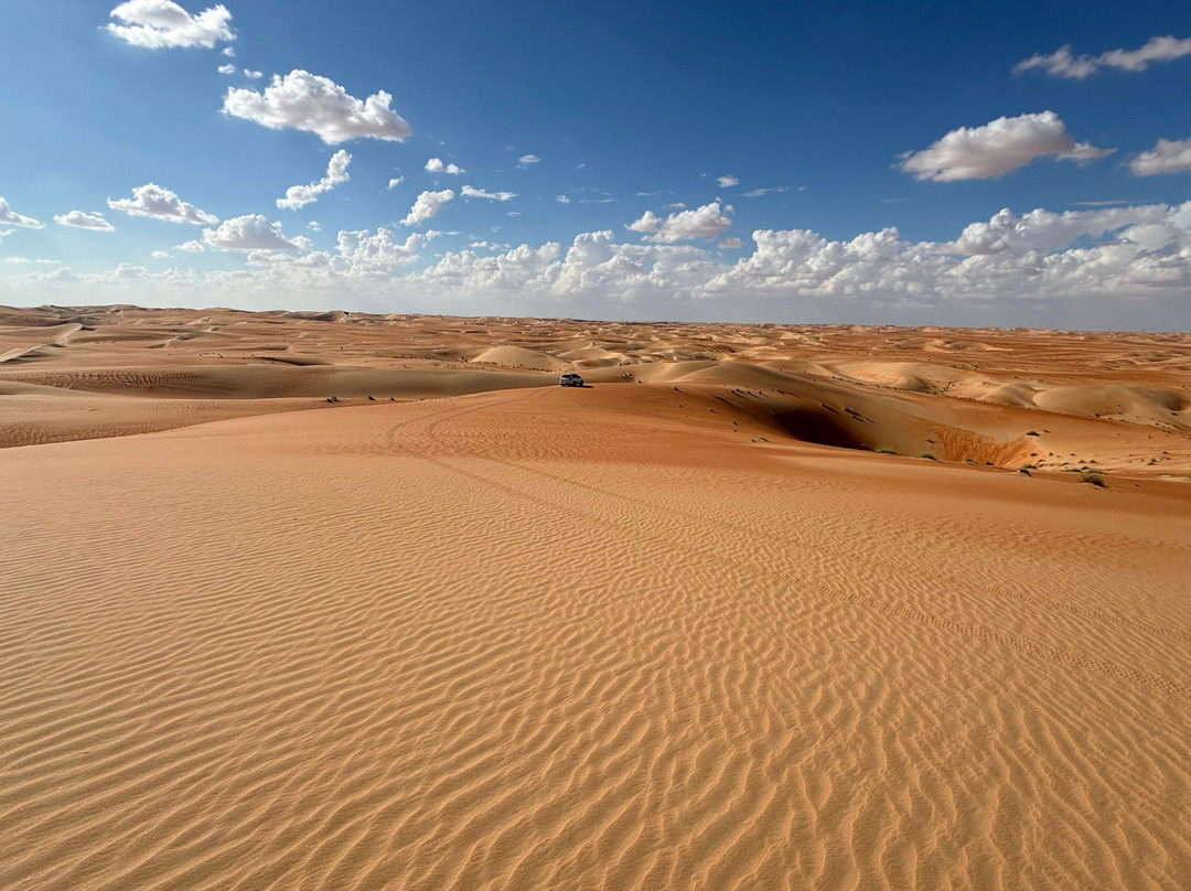 Liwa Desert Safari-阿布扎比必去景点