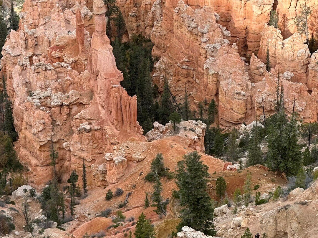 纳瓦霍小径-布莱斯峡谷国家公园必去景点