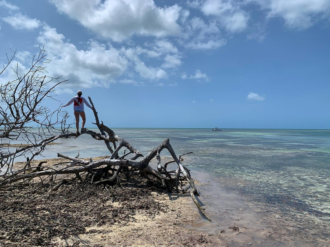 Fun In The Sun Key West-基韦斯特必去景点